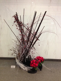 ���r�[�̉�