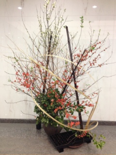 ���r�[�̂�������